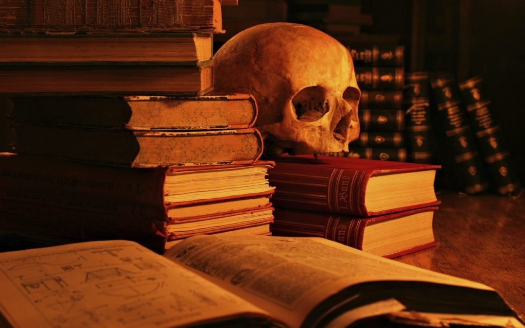 11 Best Adult Vampire Books