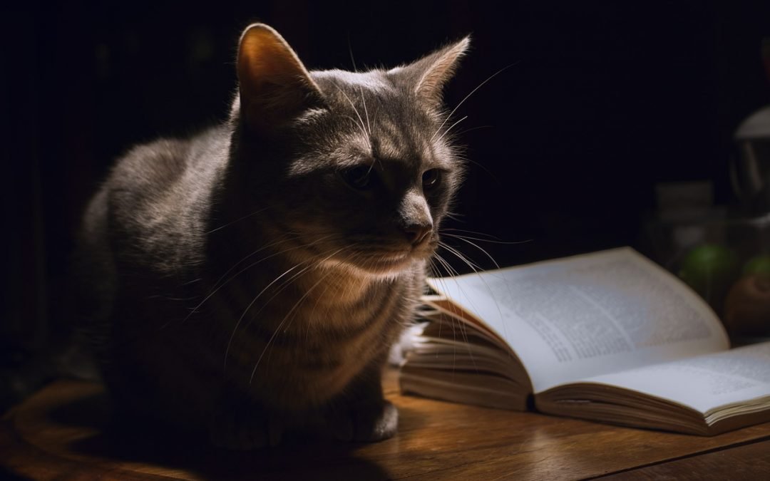 Cat Mystery Books to Curl Up With