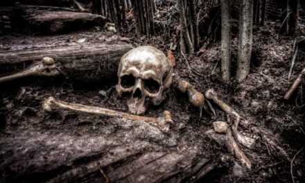 10 Best Horror Books Of 2025 With A Psychological Twist